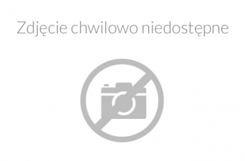 Zaprawy do spoinowania